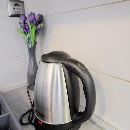 Apartment Ivan
